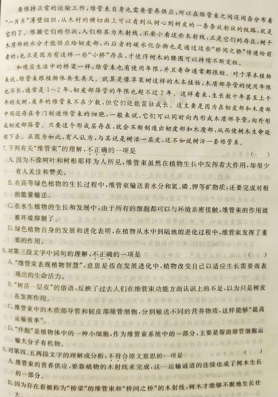 155486244976806285511.jpg